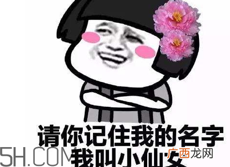 内涵段子小仙女什么意思 叫我小仙女是什么意思