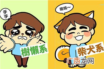 动物系男友分类测试 他属于哪类型的动物系男友