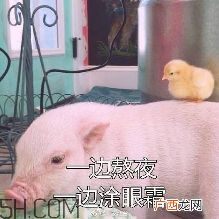 佛系青年表情包 佛系三连表情包