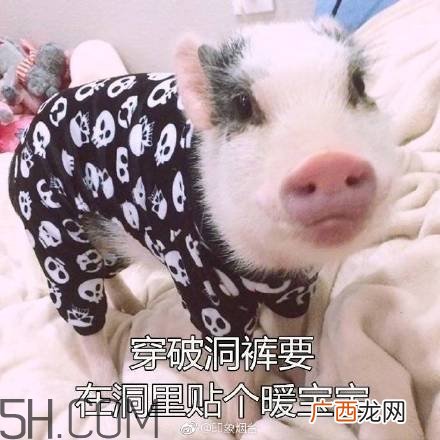 佛系青年表情包 佛系三连表情包