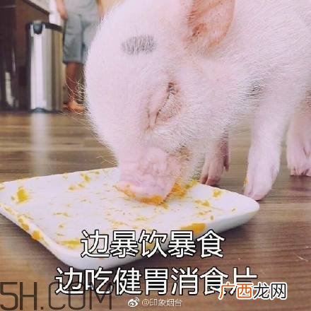 佛系青年表情包 佛系三连表情包