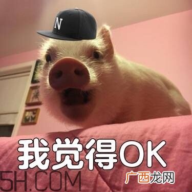ojbk是什么意思？ojbk表情包