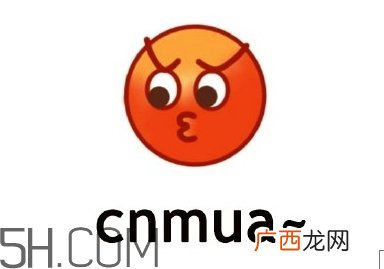 cnmua是什么意思？cnmua无水印表情包