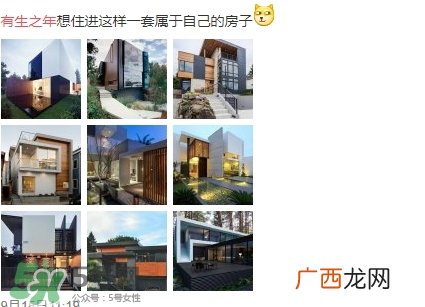 有生之年系列是什么意思_出处