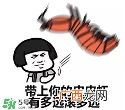 黄鳝有什么错？黄鳝做错了什么？