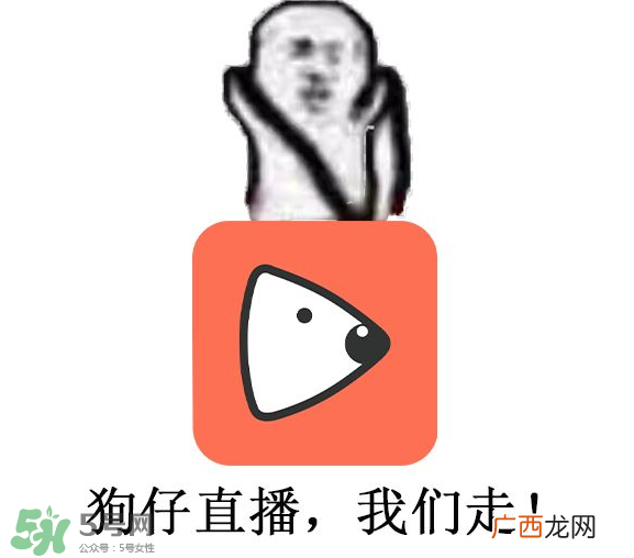 黄鳝为什么火了？黄鳝我们走为什么火了？