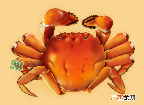 河蟹可以煮吗？河蟹煮多长时间？