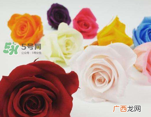 送永生花代表什么？一个男孩送自己永生花是什么意思？