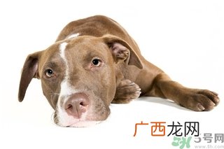懒有什么坏处？懒有什么好处？