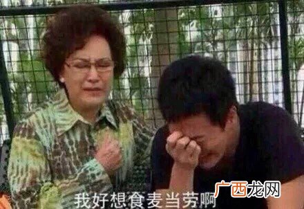 金拱门无水印表情包 金拱门表情包