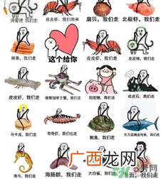 用皮皮虾骂人什么意思？骂人皮皮虾什么意思？