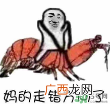 说人皮皮虾是什么意思？女生叫男生皮皮虾什么意思？