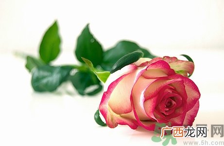 口水强迫症能好吗?口水强迫症如何治疗?