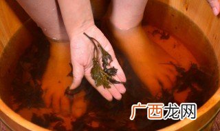 艾叶泡脚的好处和坏处 艾叶泡脚有哪些好处和坏处