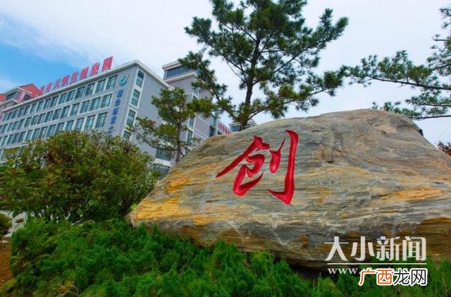 大学生创业用地申请 项目入驻创业园区