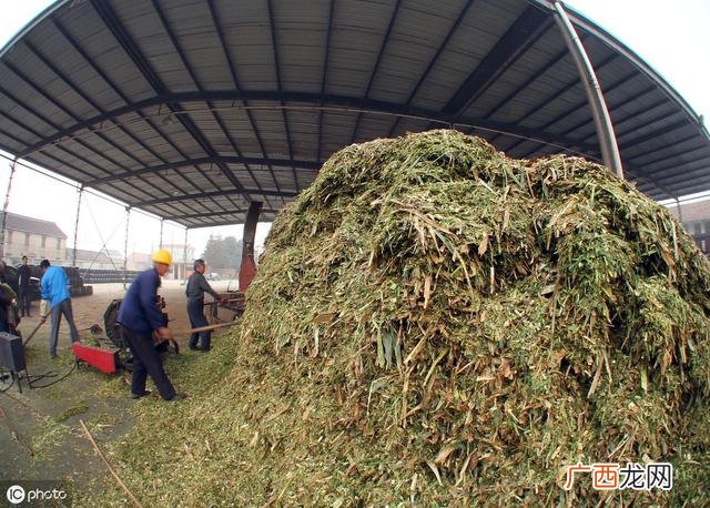 适合农村的小型加工业 厂房适合做的绿色生意