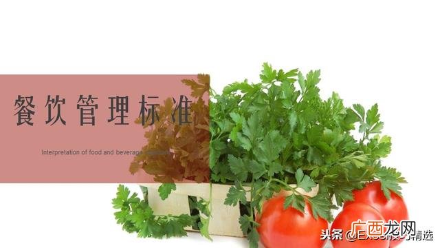 餐饮创业计划书模板ppt 开店策划方案ppt