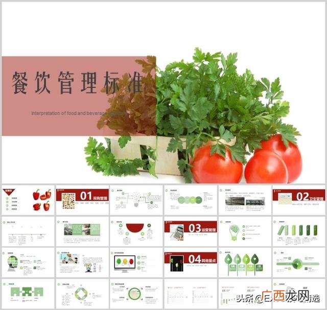 餐饮创业计划书模板ppt 开店策划方案ppt