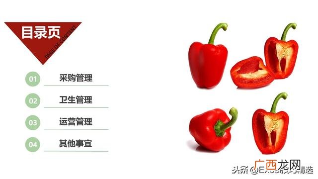 餐饮创业计划书模板ppt 开店策划方案ppt
