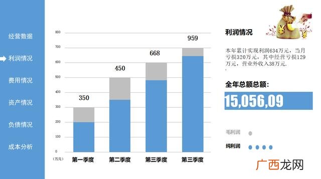 简单财务分析报告表格 财务分析报告500字