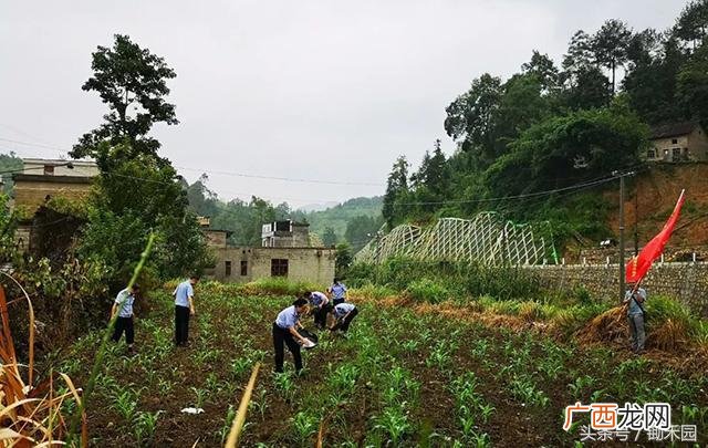 车用尿素生产设备骗局 小型尿素生产设备价格