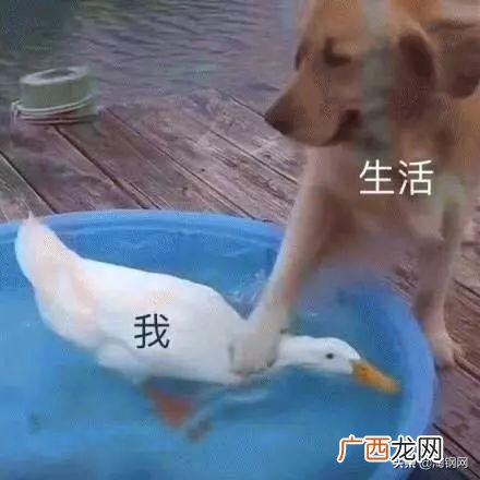 做钢结构营销怎么找客户,钢材销售客户来源渠道有哪些