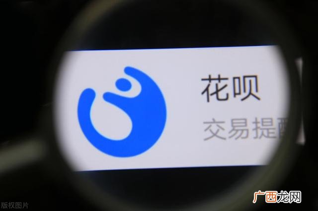 团体活动,团体创业项目