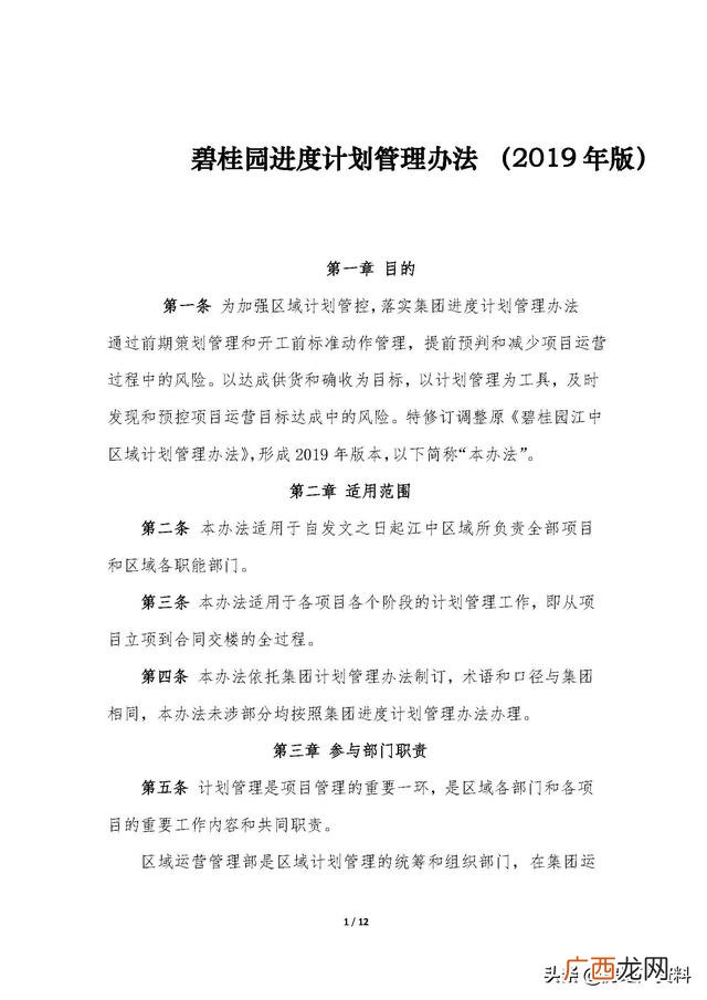 项目计划书模板范文,运营计划书模板
