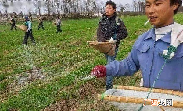 美国农业上市公司排行榜,美国创业公司
