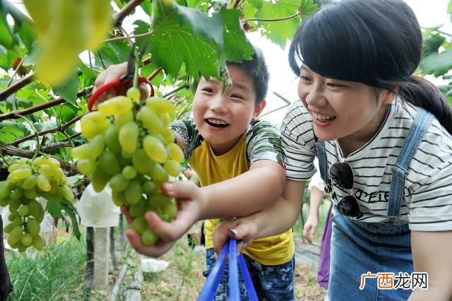 批发什么去农村卖挣钱 农村做什么挣钱快投资小