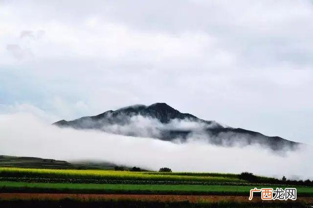 大庆油菜花基地在什么地方,大同油菜花基地