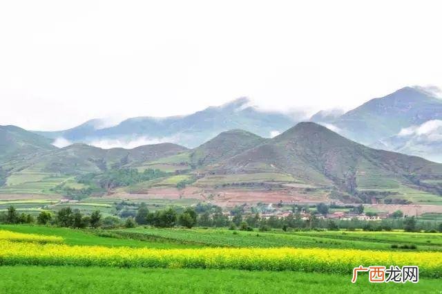 大庆油菜花基地在什么地方,大同油菜花基地
