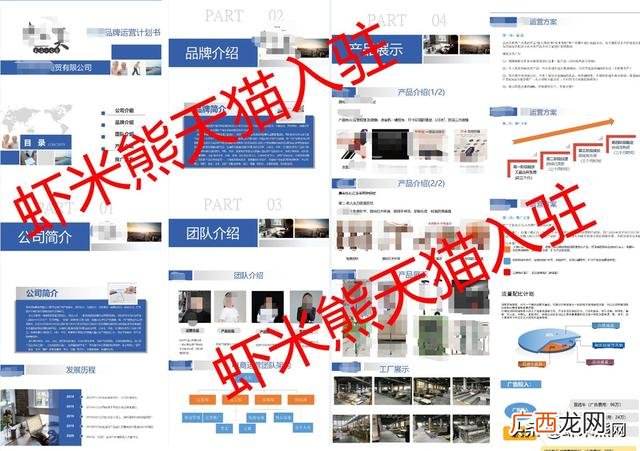 天猫入驻资料ppt运营计划 天猫入驻品牌运营计划ppt
