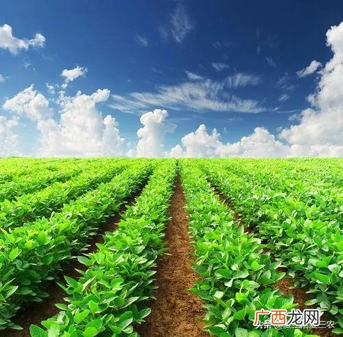 适合农村创业项目商机,适合乡下创业的项目