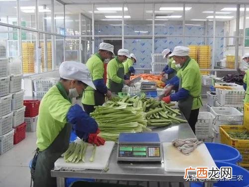 适合农村创业项目商机,适合乡下创业的项目