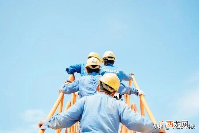 个人证书查询网 最容易考的职业资格证书