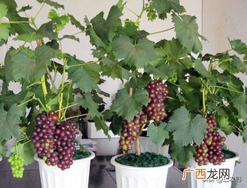 小百姓如何创业,百姓创业加盟
