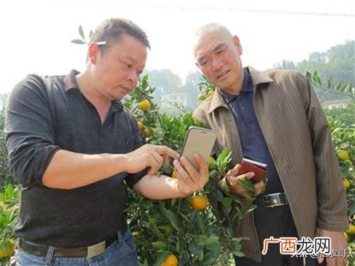 小百姓如何创业,百姓创业加盟