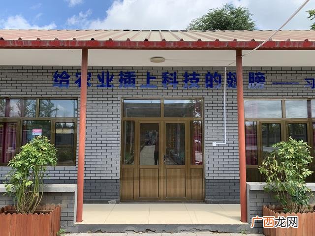 小型养鸡创业计划书范文 养殖创业项目计划书怎么写