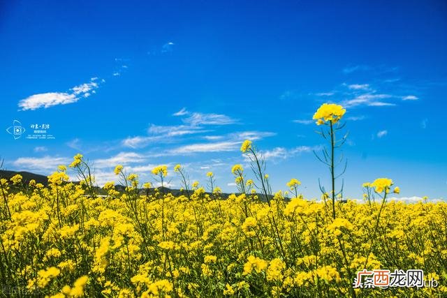 盈利能力营运能力偿债能力 项目运营及偿债能力分析