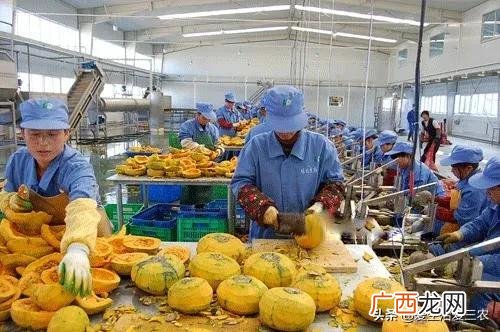 适合在农村做的25个项目,农村创业开店什么