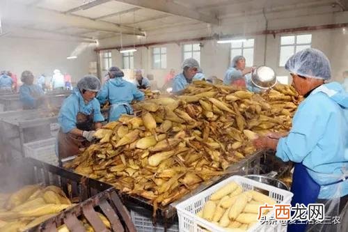 适合在农村做的25个项目,农村创业开店什么
