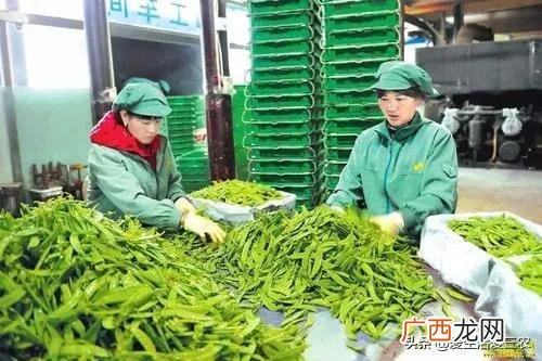 适合在农村做的25个项目,农村创业开店什么