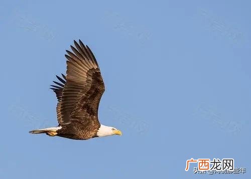 创业不易的励志语录 创业之前最艰辛