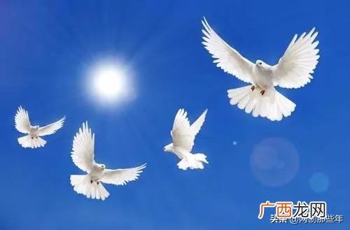 创业不易的励志语录 创业之前最艰辛