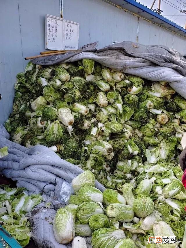 附近酒水饮料批发市场,附近批发饮料在哪里