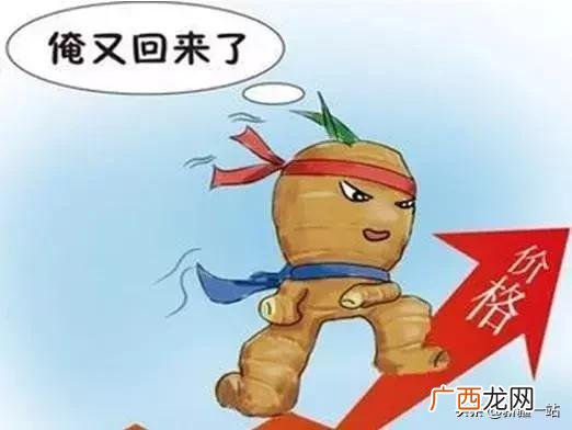 附近酒水饮料批发市场,附近批发饮料在哪里