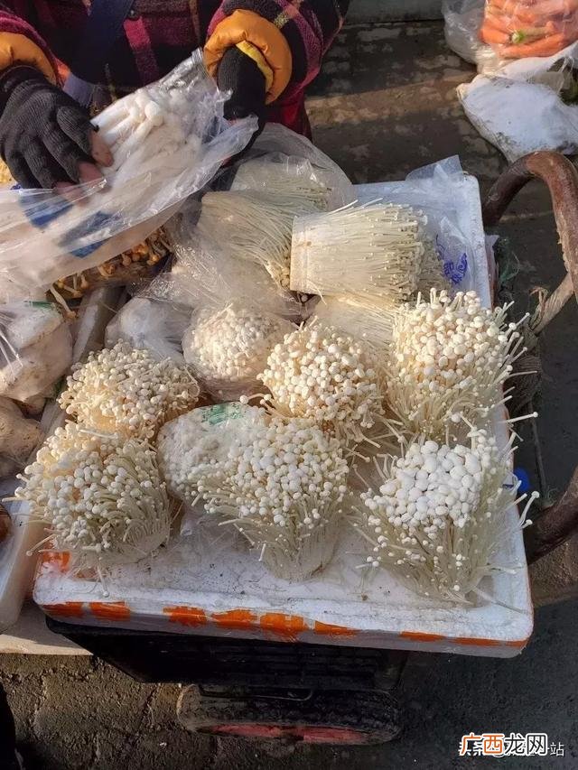 附近酒水饮料批发市场,附近批发饮料在哪里