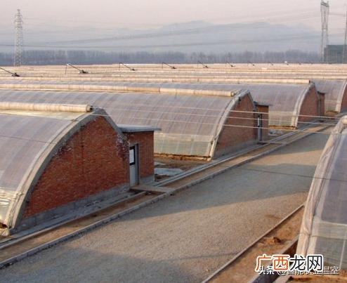 各种蔬菜大棚育苗技术 蔬菜温室大棚建设方案