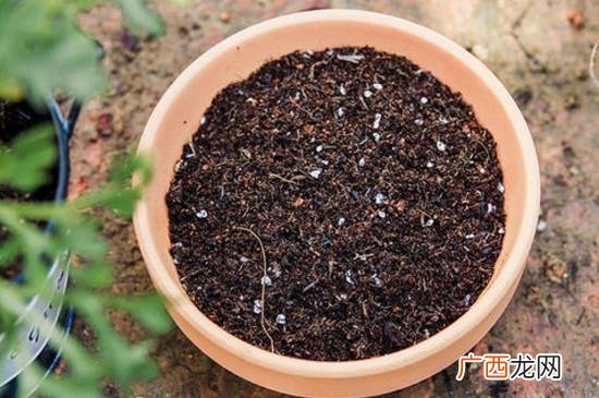 黄土免烧砖配方 粘土免烧砖的配置